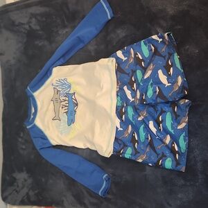 2 Cat & Jack swim suits for boys